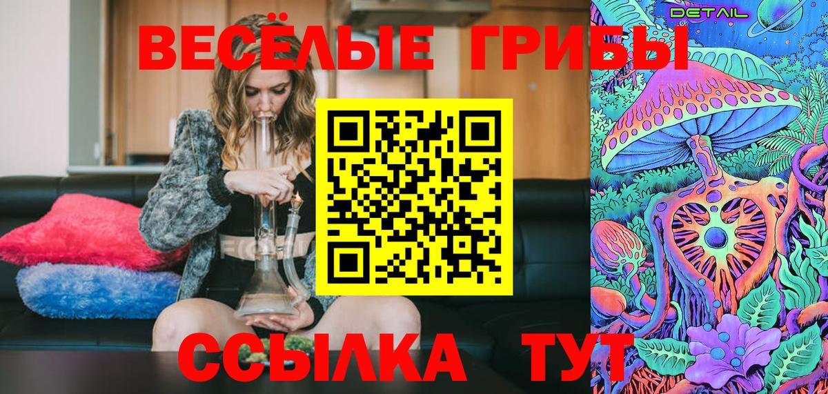 Губкин  Галлюциногенные грибы прущие грибы  Вход с VPN  Галлюциногенные грибы Psilocybe 